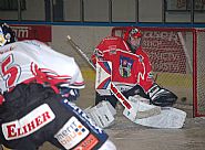 Puk v s�ti Davida Adamce