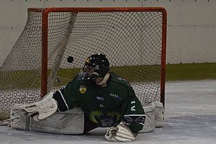 Na tuto st�elu dom�c� brank�� nedos�hl