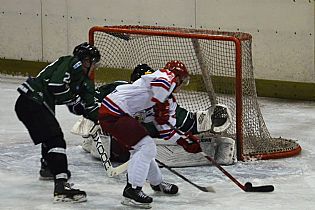 �ance Ledn�ch Medv�d�